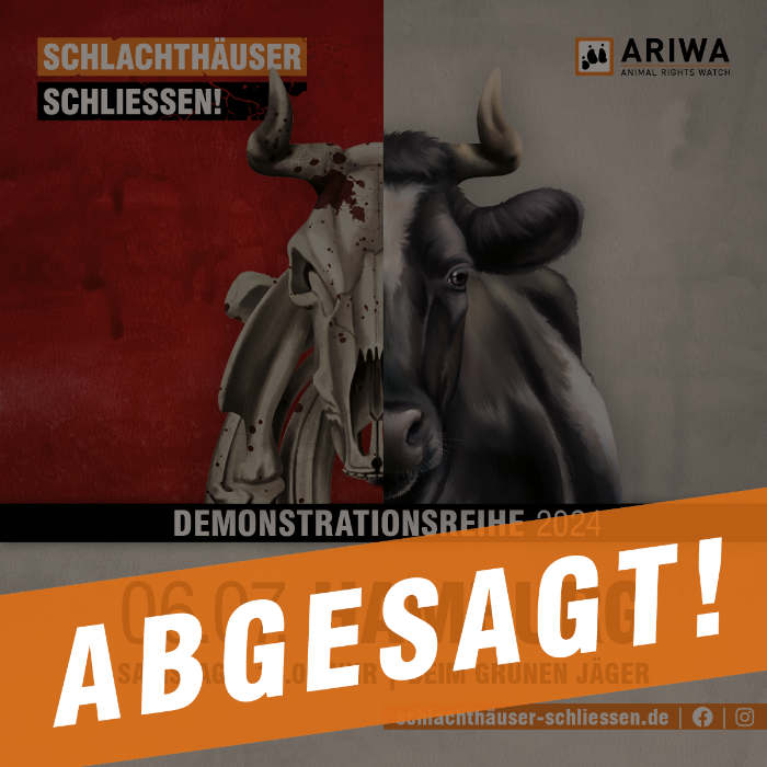 ABGESAGT: Hamburg für die Schließung aller Schlachthäuser
