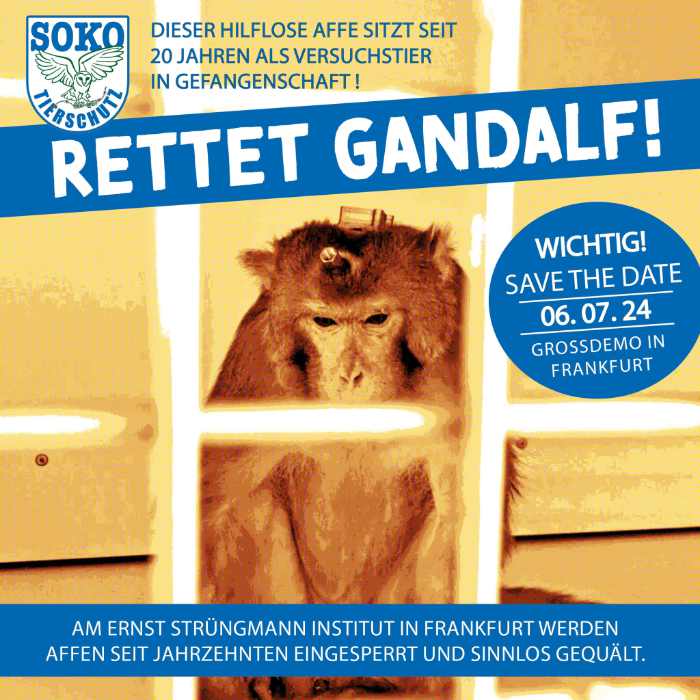 Großdemo "Rettet Gandalf!": Forschung JA! Tierversuche NEIN!
